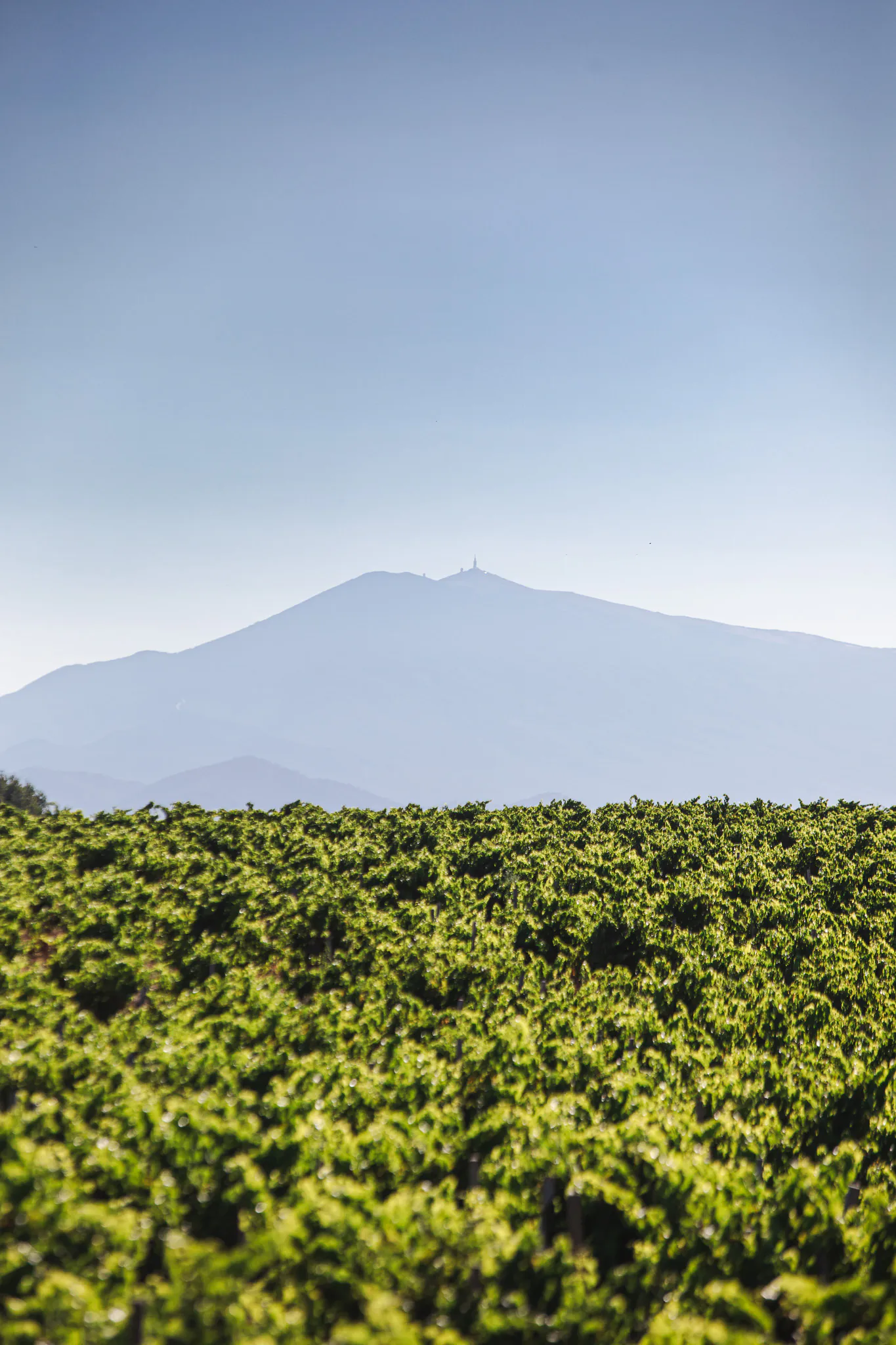 photo du mont ventoux